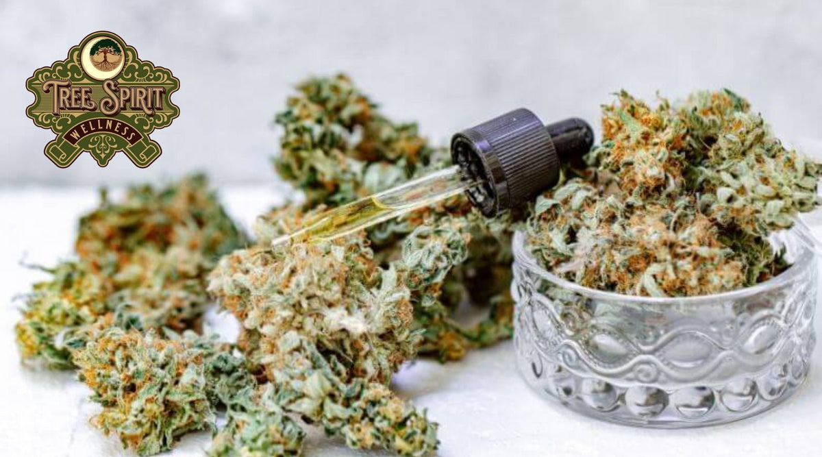 Best THCA Flower Online: Your Complete 2025 Buyer’s Guide - Tree Spirit Wellness 