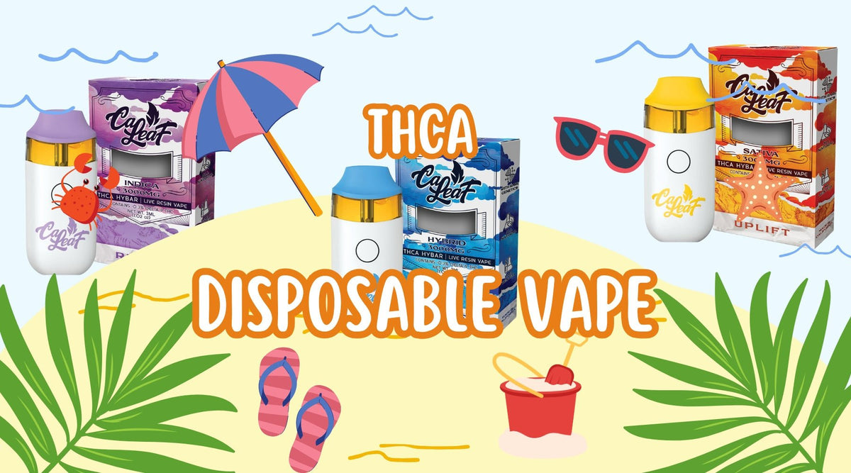 Caleaf Vape: Premium THCA Disposable Vape for Ultimate Relaxation - Tree Spirit Wellness
