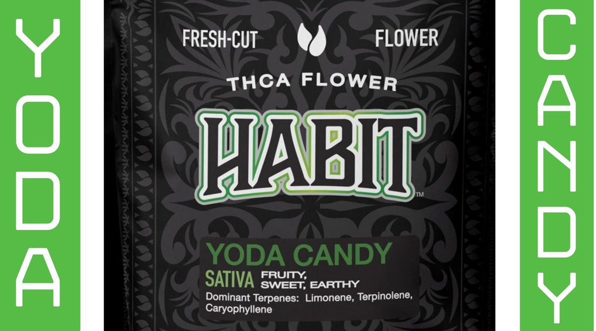 Candy-Coated Zen: How Yoda Candy and THCA Flower Are Supposed to Fix All Your Problems - Tree Spirit Wellness 