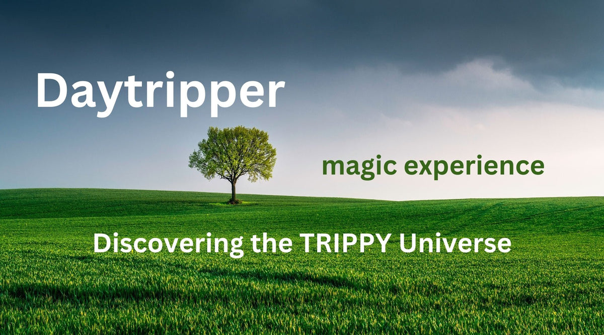 Discovering the TRIPPY Universe of Daytripper Magic Mushrooms - Tree Spirit Wellness 