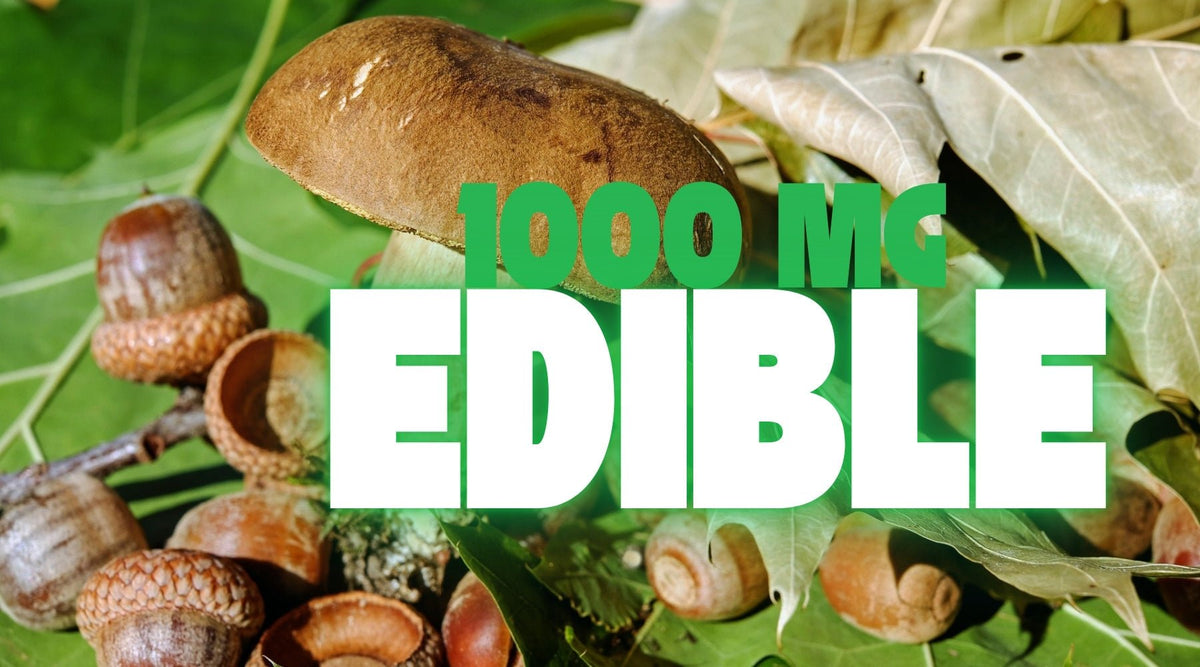 Mega Munchies: The 1000mg Edible Experience - Tree Spirit Wellness 