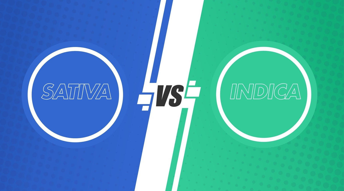 Sativa vs Indica: Know the Key Cannabis Differences - Tree Spirit Wellness 