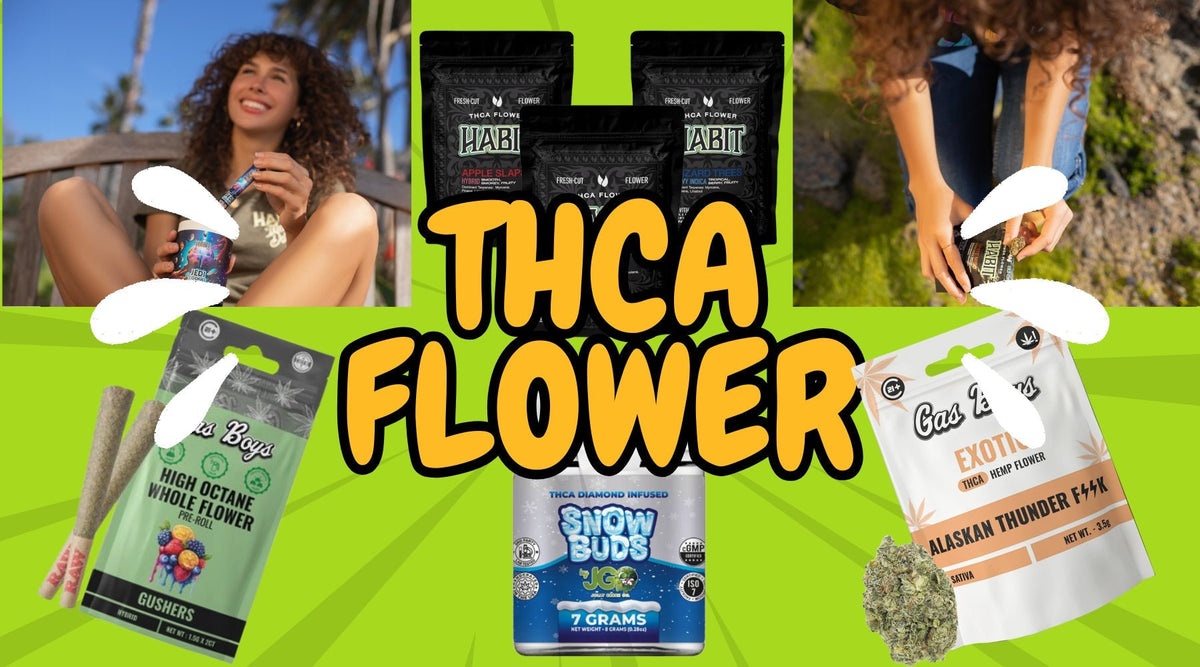 THCA Flower: The Complete 2026 Guide to Legal, Potent & Versatile Cannabis 🌿 - Mystic Journey Path