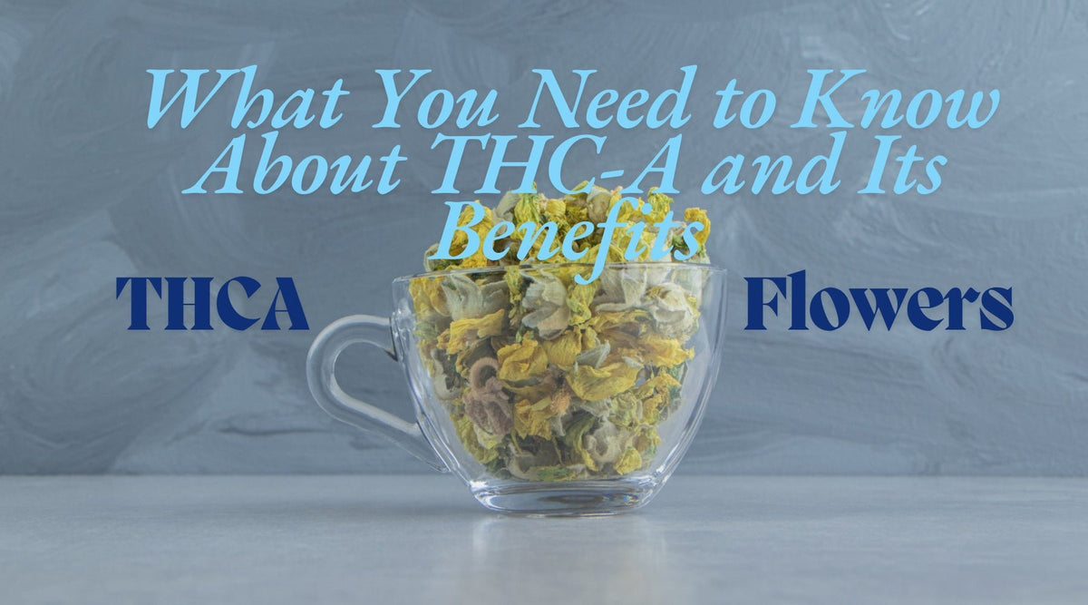 THCA Flowers: What You Need to Know About THC-A and Its Benefits - Tree Spirit Wellness 