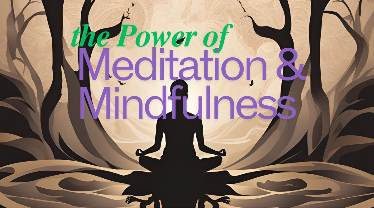 Understanding the Power of Meditation and Mindfulness - Tree Spirit Wellness 