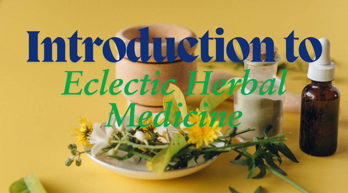 Weaving Nature's Wisdom: An Introduction To Eclectic Herbal Medicine - Tree Spirit Wellness 