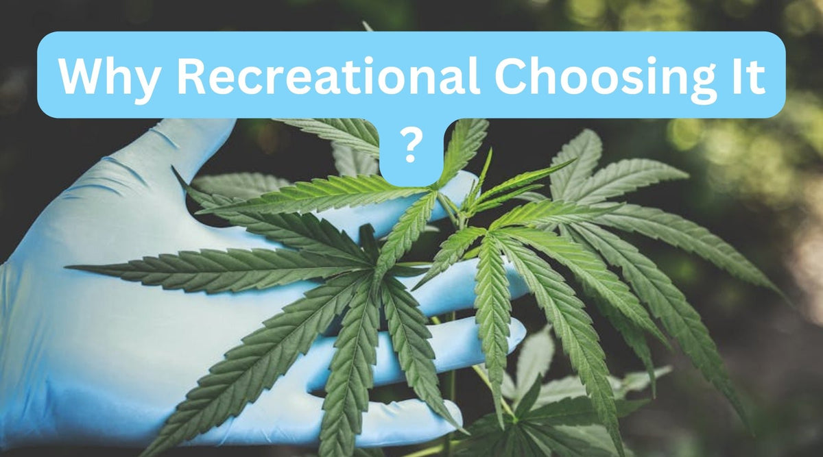 What is Delta-9 THC and Why Are Recreational Users Choosing It Over Other Cannabinoids? - Tree Spirit Wellness 