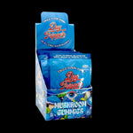 10ct Raspberry Mushroom Gummies Case of 10 - Mystic Journey Path