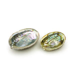 Prabhuji Burner - Abalone Shell - Medium 3.75"-5"  - Mystic Journey Path