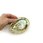 Prabhuji Burner - Abalone Shell - Medium 3.75"-5"  - Mystic Journey Path