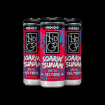 Indigo Seltzer Soarin Tsunami  5mg - Case of 24 - Mystic Journey Path