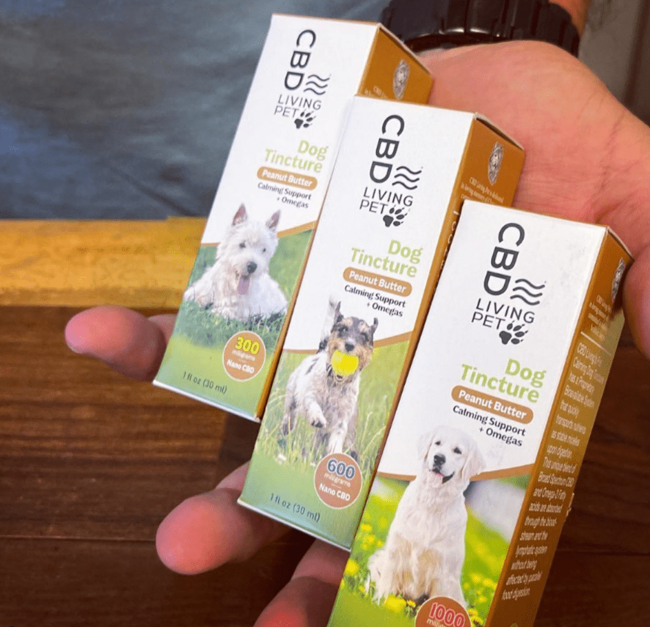 CBD Dog Calming Tincture - Mystic Journey Path