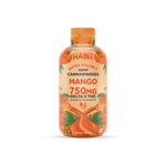 Delta 9 Hemp Syrup - Mango 750mg - Tree Spirit Wellness