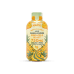 Delta 9 Hemp Syrup - Pineapple 750mg - Mystic Journey Path