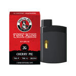 EXOTIC BLEND Disposable Vape 2 Gram - Tree Spirit Wellness