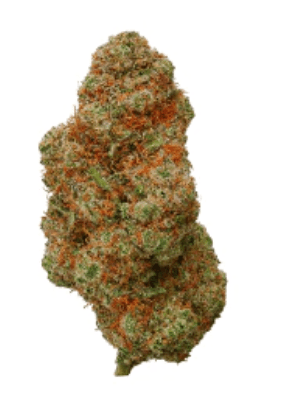 THCA 3.5g Flower Mylar bag Yoda Candy (Sativa) - Mystic Journey Path