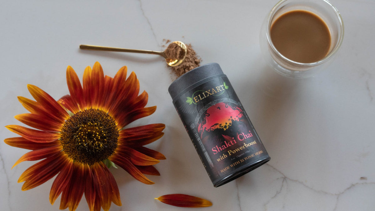 Shakti Chai w/ Powerboost - Strawberry Mushroom Tablets - Case of 10 - Mystic Journey Path